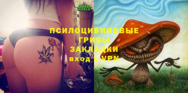 твердый Аркадак